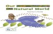 Our Natural World - Florida MuseumOur Natural World Teacher Background Information What is the focus of this guide? The focus of this guide is the natural world around us. The aim