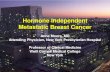Hormone Independent Metastatic Breast Cancere-syllabus.gotoper.com/_media/_pdf/SOBO14_Module7... · Stage IV breast cancer Initial work up when metastatic disease is suspected •History