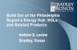 Build Out of the Philadelphia Region’s Energy Hub: NGLs and … · 2017-04-03 · Creating an Energy Hub Incent the development of major, high-capacity natural gas pipelines with