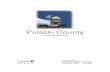 Pulaski County Tourism Plan Draft - Ongoing · Situational Analysis - SWOT The discussion and identification of SWOT - S (Strengths) W (Weaknesses) O (Opportunities) and T (Threats)
