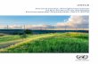Second review of implementation of the Protocol on ... · The Protocol on Strategic Environmental Assessment (Protocol on SEA) to the Convention on Environmental Impact Assessment