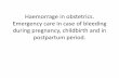 Haemorrage in obstetrics. Emergency care in case of ...akush-ginekol.ru/lectures/haemorrage.pdf · Emergency care in case of bleeding during pregnancy, childbirth and in postpartum