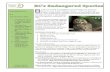 BC’s Endangered Species B€¦ · BC’s Endangered Species Learning Level K-2 Curriculum Links 1. Understand what it means to be an “at-risk” species in BC 2. Use the five
