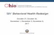 ‘501’ Behavioral Health Redesign · ‘501’ Behavioral Health Redesign October 27, October 30, November 1, November 3, November 8, 2017