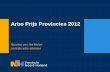Arbo Prijs Provincies 2012...Fysieke belasting Gevaarlijke stoffen Biologische agentia Fysische factoren Arbeidsveiligheid (PBM) PSA, Agressie enz. Risicobeheersing Schadelastbeperking