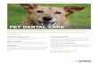 PET DENTAL CAREMost pet dental disease occurs below the gum line, where you can’t see it. Your pet’s teeth and gums should be checked at least once a year by your veterinarian.