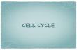 CELL CYCLE - bogari.netbogari.net › Bogari › Principle_files › 9-Cell Cycle.pdf · Cell cycle • The period between successive mitoses is known as the interphase of the cell