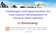 Challenges and Opportunities for Low Carbon Development of ... · Challenges and Opportunities for Low Carbon Development of Chinese Steel Industry China Metallurgical Industry Planning