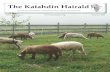 The Katahdin Hairald · The Katahdin Hairald • SUMMER 2009. ... the most successful, profitable and productive breed in North America and the world. KHSI Operations Office has just