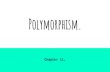 Polymorphism. · POLYMORPHISM - the ability to present the same interface for differing data types.