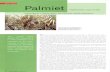 River plant Palmiet - Plantz Africapza.sanbi.org/sites/default/files/info_library/palmiet_pdf.pdf · Watt, J.M. & Breyer-Brandwijk, M.G. 1962. The medicinal and poisonous plants of