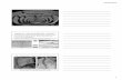 ANATOMY OF THE FASCIAL SYSTEM - Therapie Ostschweiz · superficial fascia deep adipose layer and retinaculum cutis profondus deep fascia muscle superficial adipose layer and retinaculum