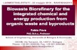 Biowaste Biorefinery for the integrated chemical and ... › site › wp-content › uploads › sites › 2 › atti › L-4-Fava… · integrated chemical and energy production