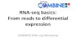 RNA-seqbasics: From reads to differential expressioncombine-australia.github.io/RNAseq-R/slides/RNASeq_basics.pdf · RNA sequencing (RNA-seq) •Use of ultra high-throughput sequencing