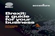Brexit: a guide business - Ibec · 6 Brexit: a guide for your business Brexit Tracker The Brexit withdrawal agreement is a major milestone. It holds the potential for an orderly UK