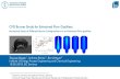 CFD Burner Study for Entrained Flow Gasiﬁers · 2018-06-27 · CFD Burner Study for Entrained Flow Gasiﬁers ... RBC-2 LBC-1 LBC-2 CRC-252 LBC-3 CRC-272 CRC-274 CRC-358 CRC-299