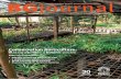 Journal of Botanic Gardens Conservation …...Journal of Botanic Gardens Conservation International Volume 14 • Number 2 • July 2017 Conservation horticulture: Making a garden