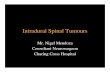 Intradural Spinal Tumoursnigelmendoza.com/lectures_pdf/SPINAL_TUMOURS-WEB...Epidemiology of Intradural tumours 20 % of all CNS tumours are in the spinal canal • Incidence : 2 - 4