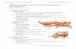 A. Subphylum Myriapoda - Bharsar Students · 2019-05-23 · Subphylum Myriapoda and Insect External Morphology and Sensory Structures D. L. A. Underwood Biology 316 - General Entomology
