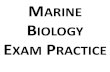 MARINE BIOLOGY EXAM PRACTICE - Paramorina...Porifera, Cnidaria, Ctenophora, Mollusca Porifera Skeleton and Cells Porifera Water Flow Porifera Organization and Morphology Asconoid –