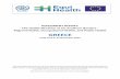 ASSESSMENT REPORT: The Health Situation at EU Southern ... · The Health Situation at EU Southern Borders - Migrant. Health, Occupational Health, and Public Health . GREECE . Field