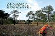 By Tom Carpenter ALABAMA BLACK BELT BOBWHITES · kings of Black Belt hunting, but bobwhite quail are the little princes of this enchanting region. Pam Swanner of Alabama Black Belt