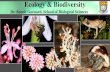 Ecology & Biodiversity · Objectives: 1. Research •Explore the biodiversity of living organisms (microorganisms, plants and animals) and their ecology, with particular reference