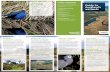 Guide to Auckland's wetlands › environment › plants...Guide to Auckland’s wetlands Help protect our wetlands • Use existing tracks and boardwalks and observe from the edges.