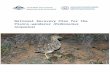 National Recovery Plan for the Plains-wanderer (Pedionomus ...€¦  · Web viewThe National Recovery Plan for the Plains-wanderer (Pedionomus torquatus) is licensed by the Commonwealth