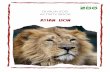 DUBLIN ZOO ACTIVITY BOOK LION › ... › 2020 › 03 › DUBLIN-ZOO-ACTIVITY-BOO… · from ruddy tawny, heavily speckled with black, to sandy or buff-grey. The Asian lion is a carnivore,