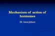 Mechanism of action of hormones · Mechanism Of Action Of Steroid Hormones The steroid hormones secreted by adrenal cortex, ovaries and Testes cause protein synthesis that act as