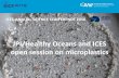 JPI/Healthy Oceans and ICES open session on microplastics€¦ · ICES ANNUAL SCIENCE CONFERENCE 2016 • BASEMAN - Defining the baselines and standards for microplastics analyses
