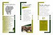 Elephant Extinction Student Sample Brochure · elephant number is slowly dwindling because of hunting, poaching, loss of habitat, destroying their food sources . Elephants daily are
