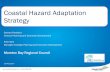 Coastal Hazard Adaptation Strategybribieislandenvironmentprotection.org.au/wp... · Coastal Hazard Adaptation Strategy Stewart Pentland Director Planning and Economic Development