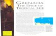 Barbour, K. and J.H. McAndrews. 1995. Grenada, the spice ...labs.eeb.utoronto.ca/mcandrews/PDFs/Grenada_1995_new.pdf · GRENADA THE SPICE OF TROPICAL LIFE The incredible range of