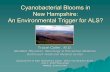 Cyanobacterial Blooms in New Hampshire: An Environmental Trigger for … · 2013-03-10 · reduce your risk of developing ALS in the US 2. Avoiding blooms is a good idea because of