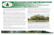 Growing Chinese Chestnuts in Missouri · potential for nut production in Missouri. (See p. 11 for recommended nurseries.) Methods for Establishing Chinese Chestnut Trees Chinese chestnuts