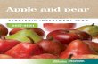 Apple and pear - Horticulture Innovation Australia · HORT INNOVATION 4 APPLE AND PEAR STRATEGIC INVESTMENT PLAN – 2017-2021. STRATEGIC INVESTMENT PLAN 2017-2021 AT A GLANCE ...