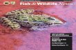 Fish Wildlife News - U.S. Fish and Wildlife Service 2018_accessible.pdf · 2 / Fish & Wildlife News Spring 2018 news A freshly tagged lake trout ready for release. The moment before