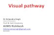 Visual pathway - AIIMS RISHIKESHaiimsrishikesh.edu.in/.../01/1033_visual_pathway.pdf · Visual pathway Visual pathway consists of a series of cells & synapses that carry visual information