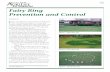 Pub Fairy Ring Headline goes here Prevention and Control · Fairy Ring Prevention and Control. F. airy ring disease causes brown or dark green arcs or circles that appear in lawns,