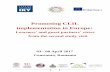 Promoting CLIL implementation in Europeclilprime.com › wp-content › uploads › 2017 › 05 › ... · 21 I used adequate ICT tools. 12 ... The second study visit of the ERASMUS+