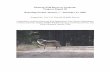 2005 Progress Report - United States Fish and Wildlife Service€¦ · The reporting period for this progress report is January 1 – December 31, 2005. Background The Mexican wolf,