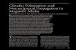 Dionne, Allen, HADDAD, Ross, AnD lAx Circular Polarization ... · • Dionne, Allen, HADDAD, Ross, AnD lAx Circular Polarization and Nonreciprocal Propagation in Magnetic Media 326