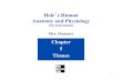 Hole s Human Anatomy and Physiology...Hole’s Human Anatomy and Physiology Eleventh Edition Mrs. Hummer Chapter 5 Tissues . 2 Chapter 5 Tissues Four major tissue types 1. Epithelial