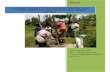 MULTIFUNCTIONALITY OF SMALLHOLDER FARMING: A WAY … · 2015-06-09 · MULTIFUNCTIONALITY OF SMALLHOLDER FARMING: A WAY TOWARDS SUSTAINING FOOD SECURITY AND CARBON NEUTRAL 3 Table