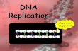 DNA Replication...DNA. • Occurs in nucleus before a cell divides so that each new cell produced has a complete set of chromosomes. Mitosis-prophase-metaphase-anaphase-telophase G