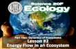 Part Two: Dynamics of Ecosystems Lesson #2 Energy Flow in ... · Part Two: Dynamics of Ecosystems Lesson #2 Energy Flow in an Ecosystem. Food Chain Trophic Level •a diagram illustrating
