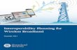 Interoperability Planning for Wireless Broadband...over time agencies will migrate entirely to this broadband technology. Since wireless broadband technology does not yet currently