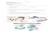  · Web viewDNA REPLICATION DNA replication occurs during the _____ of the eukaryotic cell cycle. Steps to DNA replication: ...
